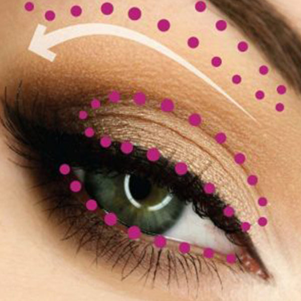 Anatomy of Eye Makeup