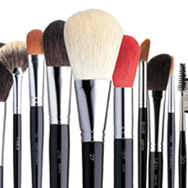 Basic Guide to Makeup Brushes