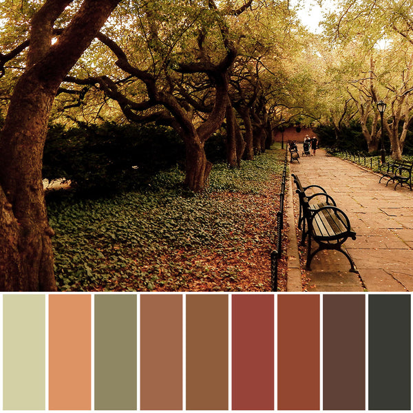 Walk In The Park Inspiration