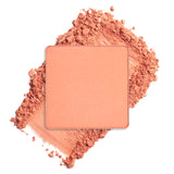 Bliss Compact